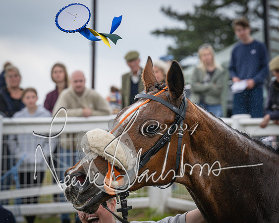 Race 1 - The PPORA members Conditions race [Level2] (48 of 61)