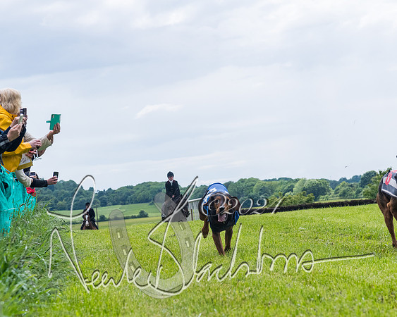 Race 7 - Hound Race etc (94 of 108)