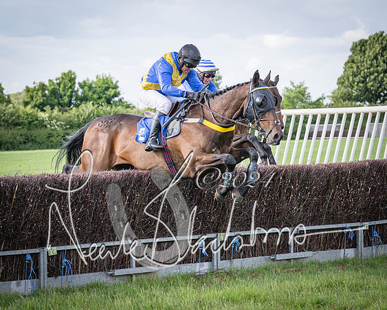 Race 6 - Thorn Plant Hire Maiden Race (65 of 129)