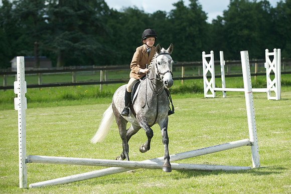 SOHS PC Summer Show at BCA 17th June 2012