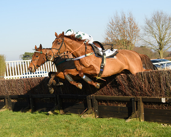 Race 2 - PPORA Novice Riders  (188 of 205)