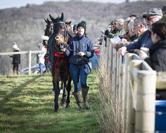 Race 1 - Four and Five year Old Maiden (14 of 137)