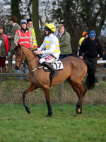 CHHC - Young Horse Maiden Division 2