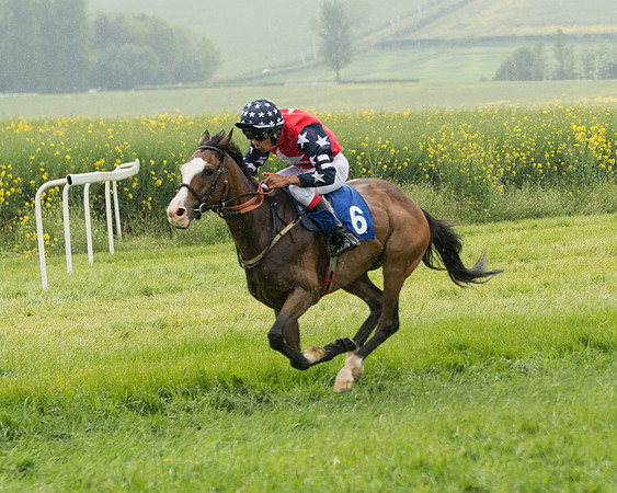 Pony Race 2 (65 of 113)