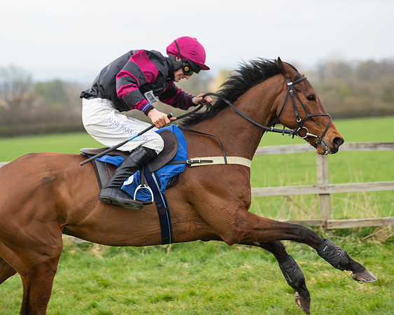 Race 6 - The Restricted Race (134 of 200)