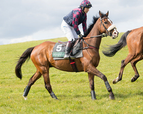 Race 3 - Owner Trainer conditions (5 of 132)