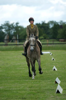 Jackson Dressage 8