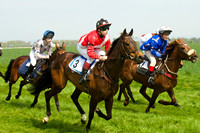 Ponies and Hounds 8