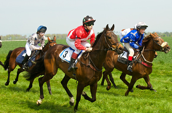 Ponies and Hounds 8