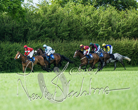 Race 5 - Restricted Race (250 of 434)