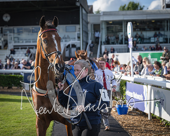 Race 4 - Peretemps Stratford Foxhunters (5 of 168)