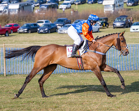 Race 5 - PPORA Five years and over (48 of 163)