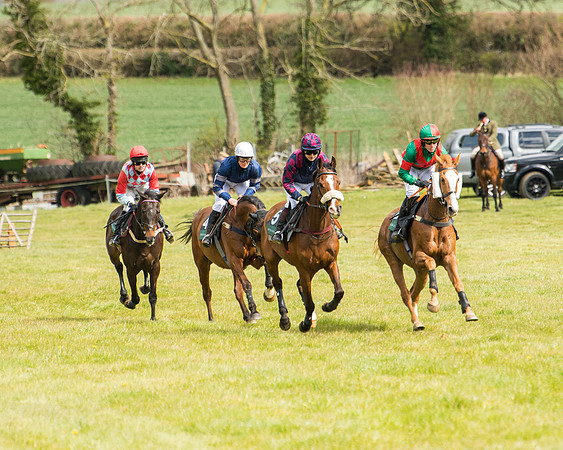 Race 3 - Owner Trainer conditions (24 of 132)