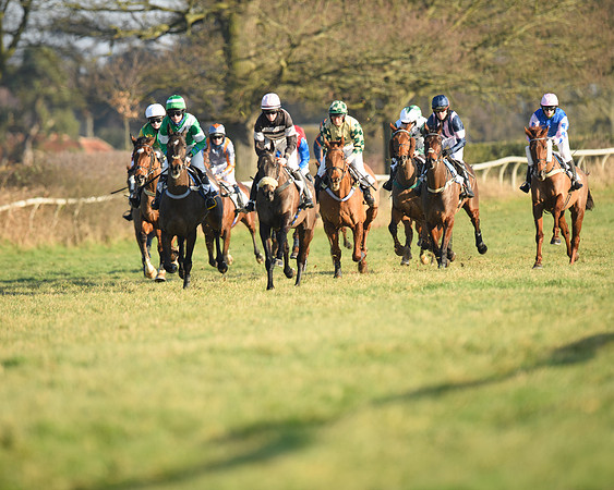 Race 2 - PPORA Novice Riders  (80 of 205)