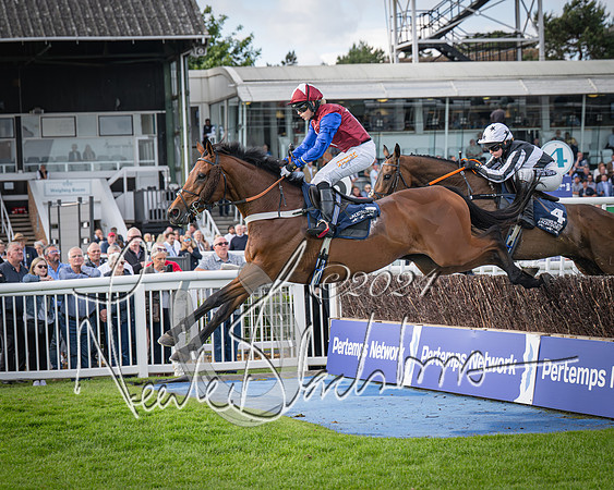 Race 2 - Olly Murphy Racing Stratford Ladies Open (76 of 111)