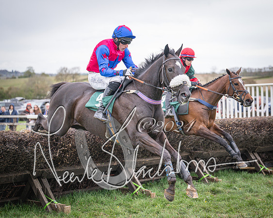 Race 6 - The Restricted Race (57 of 101)