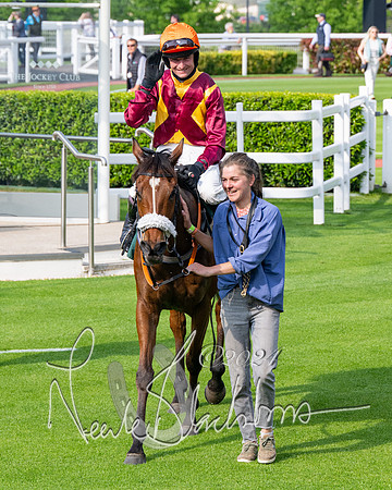 Race 1 - The Bottle Green Open Hunters steeplechase 2m62y (76 of 93)