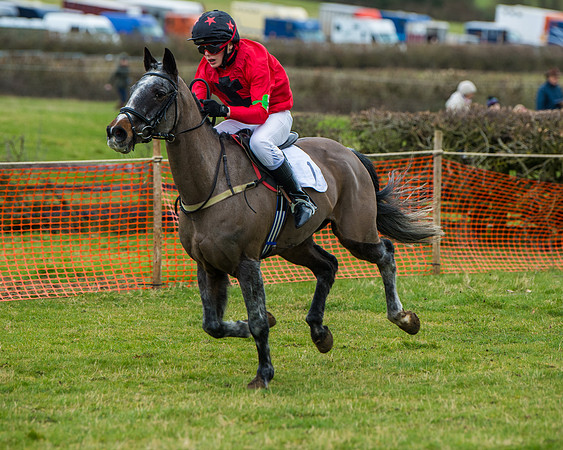 Pony Race 1 (47 of 101)