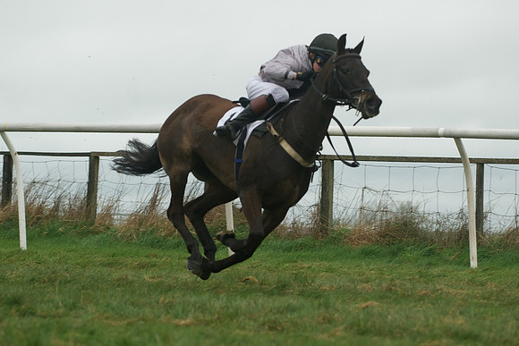 Race 8 - Pony Race 2 -  21