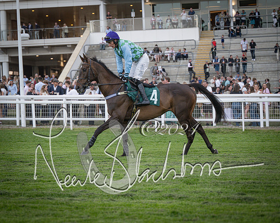 Race - 7 The Royal Gloucester Hussars Open Hunter's steeplechase 2m4f 127y (50 of 210)