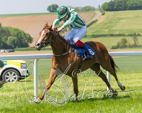 Pony Races  (89 of 141)