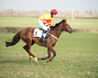 Race 4 - Restricted Race (12 of 137).jpg
