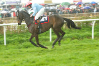 Old Berks at Lockinge PPORA novice and veteran riders race