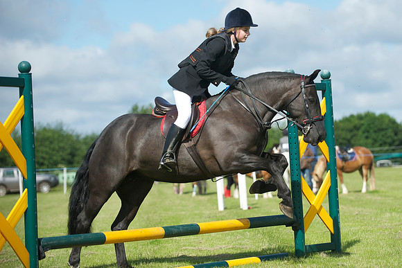 SOHS PC Summer Show at BCA 17th June 2012