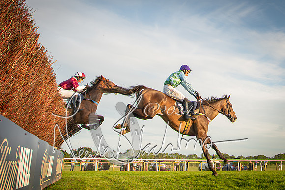 Race 5 - tipsterreviews.co.uk handicap (50 of 107)