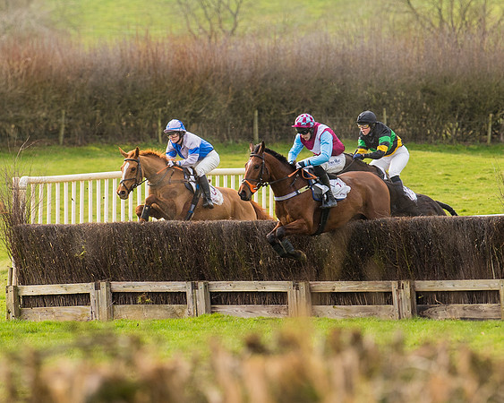 Race 3 - Restricted  (43 of 100)