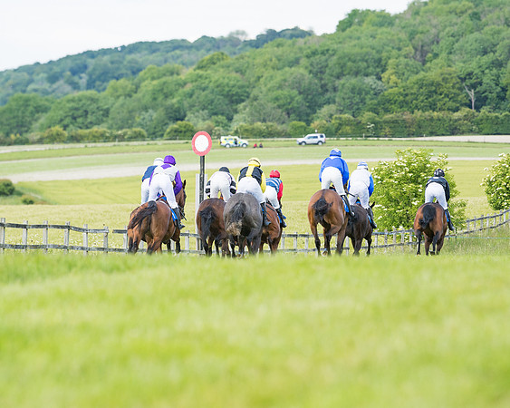 Race 6 - Open Maiden (113 of 227)
