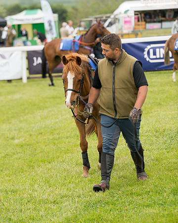 Pony Race 1  (17 of 125)
