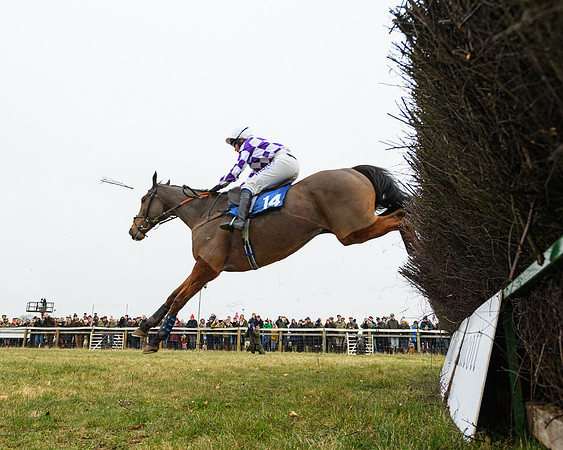 Race 3 - Novice Riders Race (119 of 180)