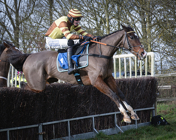 Race 1 - All Is True - Jack Andrews (29 of 38)