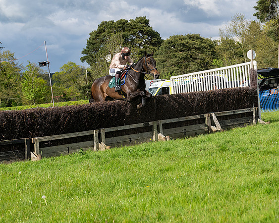 Race 5  - Maiden  (29 of 84)