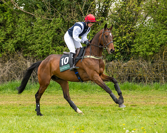 Race 7 - Open Maiden  (9 of 106)