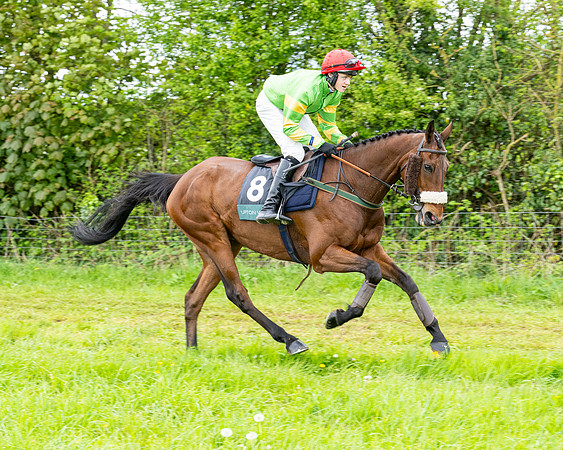 Race 2 - 2M4F Conditions (64 of 195)