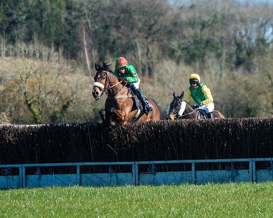 Race 2 - Warwick racecourse conditions  (3 of 122)