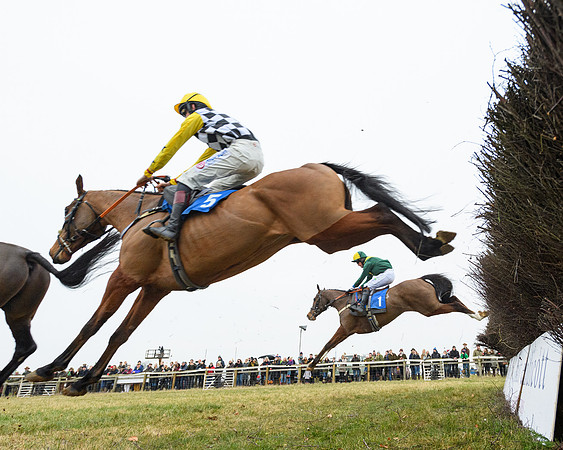 Race 6 - Young Horse Maiden (18 of 67)