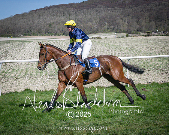 Race 5 - The restricted (30 of 113)