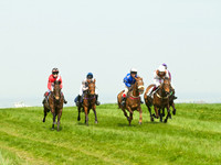 Ponies and Hounds 2