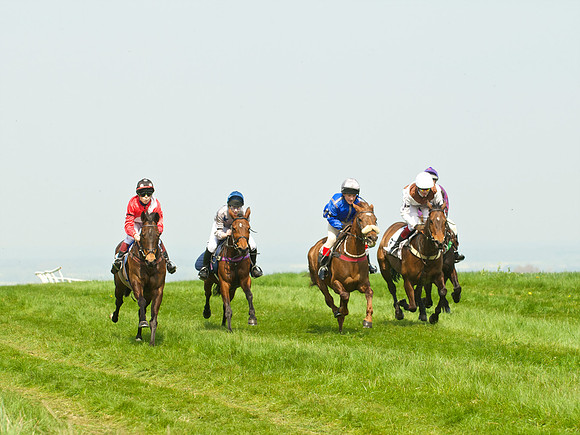 Ponies and Hounds 2