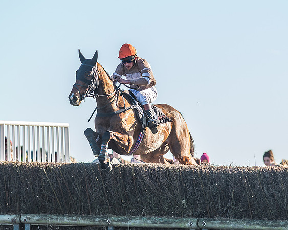 Race 1 - PPORA Novice Riders Race-62