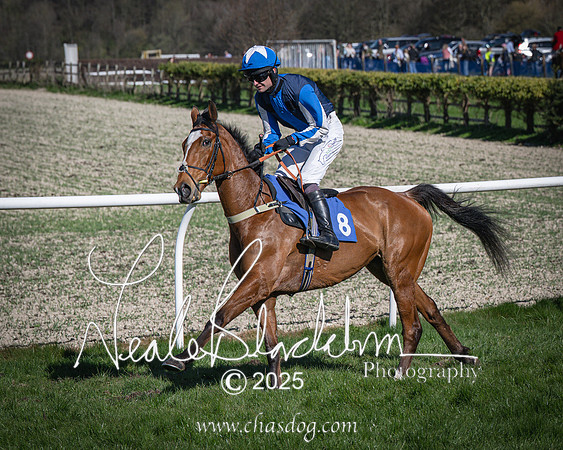 Race 6 - Veteran horse (38 of 109)