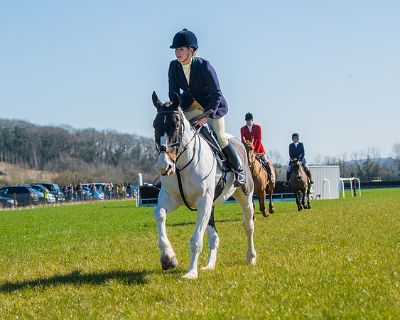 Hunt Horses annd Hound parade (40 of 44)