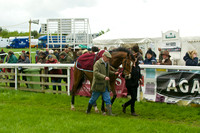 Race 5 - Restriced 8
