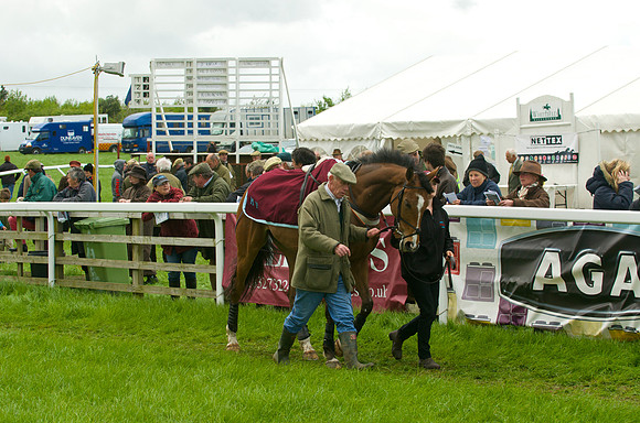 Race 5 - Restriced 8