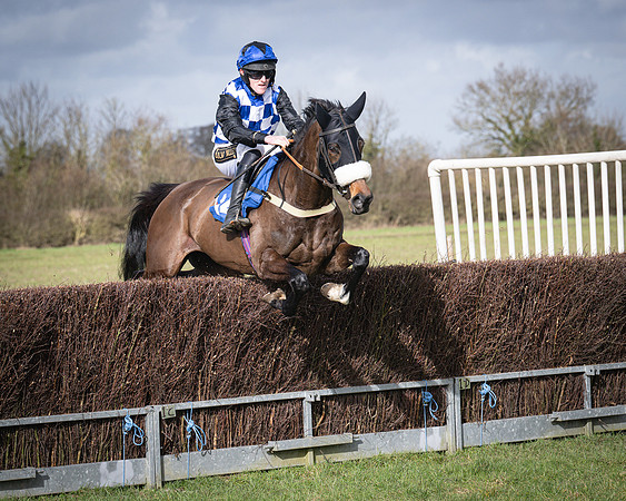 Race 3 - The Maiden Conditions (95 of 214)