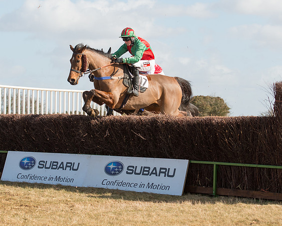 Race 1 - 4-5-6 Maiden (70 of 119).jpg