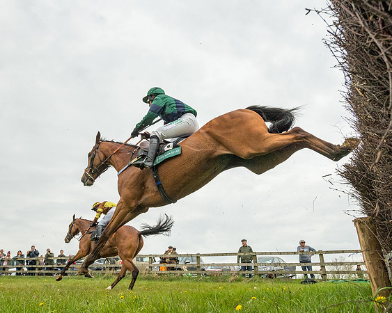 Race 2 - Jockey Club ROR veteran Horse (94 of 104)